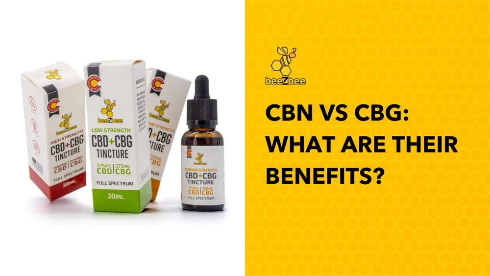 CBN vs CBG: What Are Their Benefits? - beeZbee