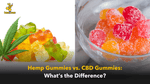 Hemp Gummies vs. CBD Gummies: What’s the Difference? - beeZbee