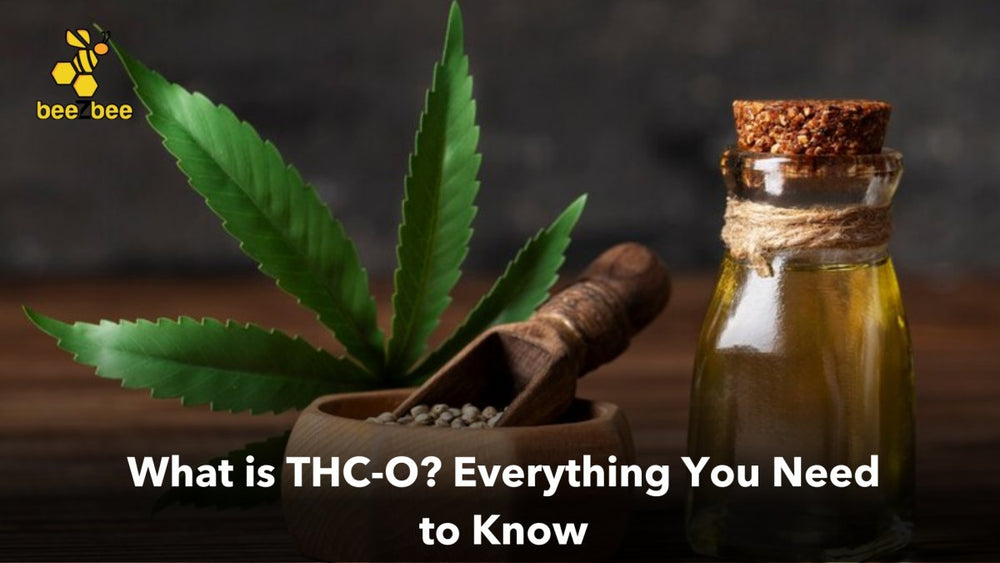 What is THC-O? Everything You Need to Know - beeZbee